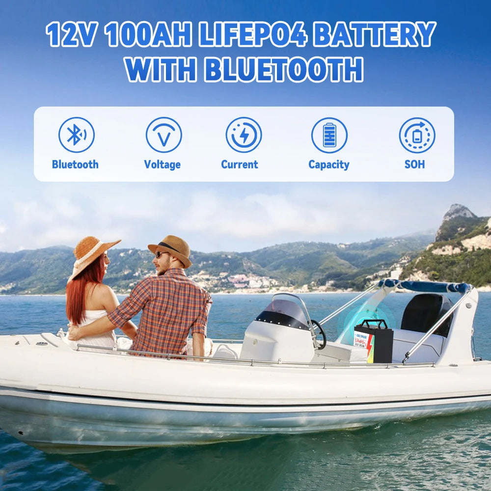 12V 100AH LiFePO4 Lithium Battery Pack With Bluetooth BMS - Clear Blue Hub 